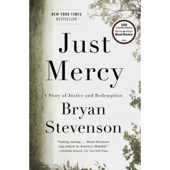 Pre-Owned Just Mercy: A Story of Justice and Redemption (Paperback) 0812989325 9780812989328