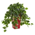 thumbnail image 1 of Pothos Artificial Plant in Red Planter UV Resistant - Indoor & Outdoor, 1 of 1