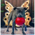 thumbnail image 3 of CHUANK Romp-n-Roll Rope and Ball Dog Toy 6 Inches/Medium Red, 3 of 4
