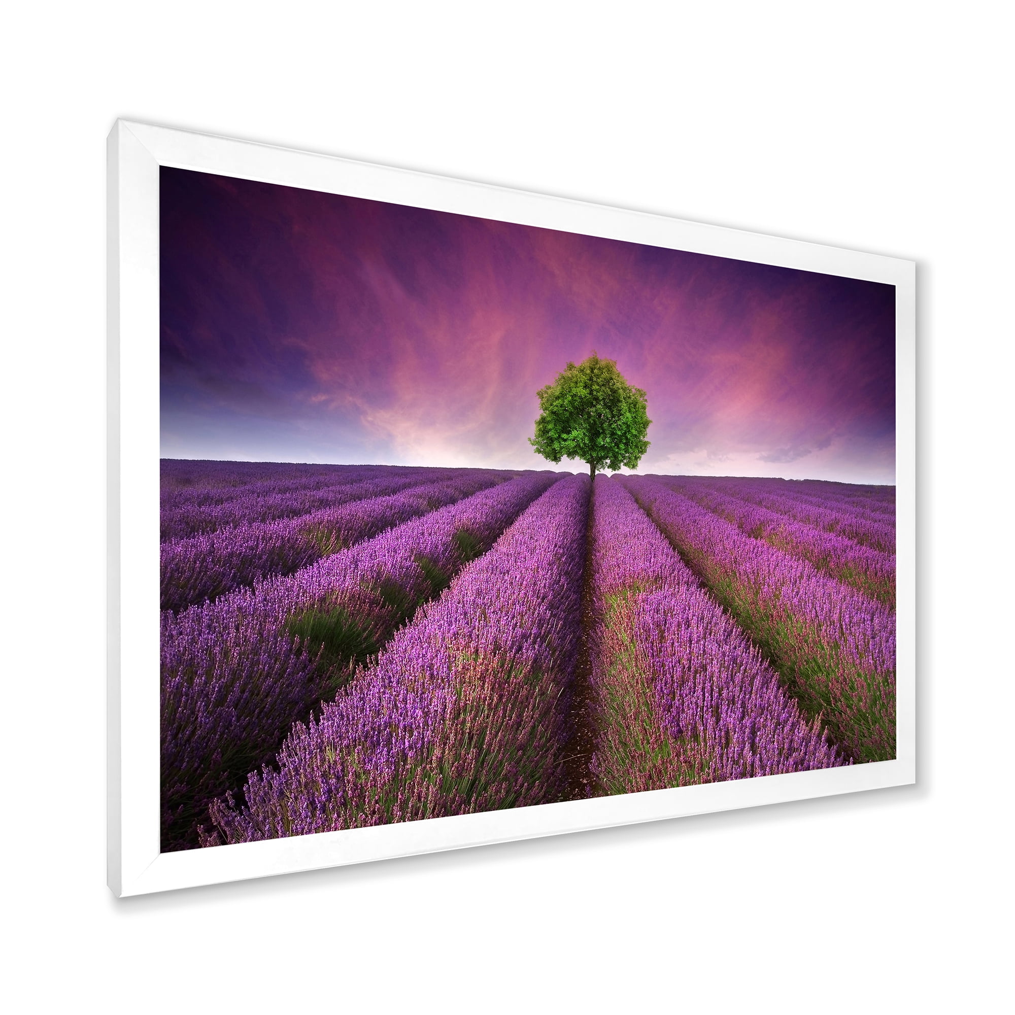 Designart 'Tree With Stunning Lavender Field Summer Sunset' Farmhouse Framed Art Print