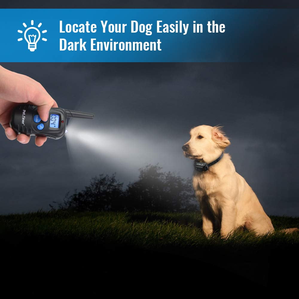 shock collar for 10 pound dog