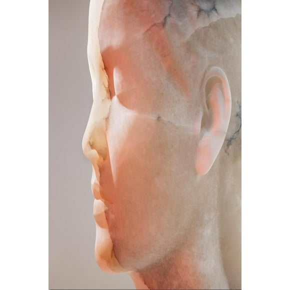 Jaume Plensa. Materia Interior