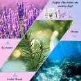 thumbnail image 5 of MYARO 12 Packs Sachets Bags Cedar Wood, Ocean, Lavender Scented Sachets 3 Scent Closet Air Freshener, Deodorizer Flower Long-Lasting Scented Sachets Bags for Drawer Closets, 5 of 6