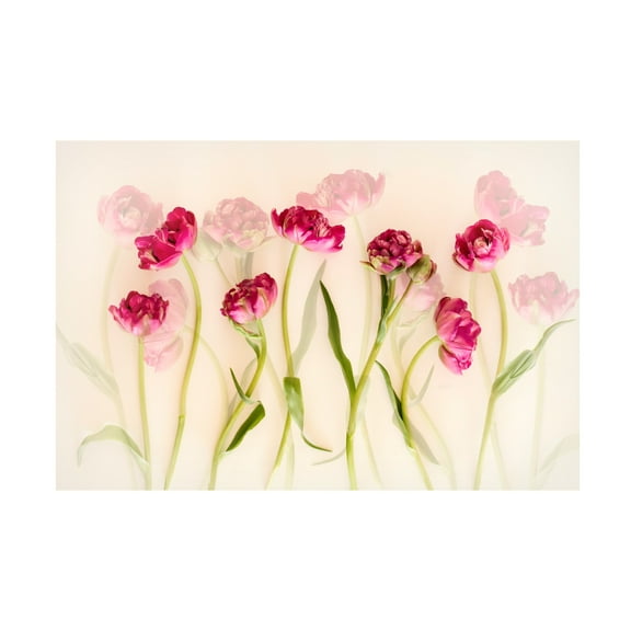 Canvas Wall Art - Ellen Van Deelen 'Tulips' Wall Art for Living Room, Bedroom, or Office Décor by Trademark Fine Art - 19 x 12 Inches