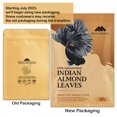 thumbnail image 3 of Hojas para acuario MATCHIMAA Indian Almond 15-23 cm 50 g, 3 of 8