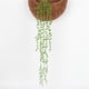 thumbnail image 5 of Plantas Suculentas Artificiales Cadena de Artificiales para Colgar Plantas, Plantas de para Decoración de Bodas Y Fiestas (82 Cm de Longitud), 5 of 9