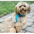 thumbnail image 2 of Coastal Pet Products 21414SML-BLU Blue Accent Dog Harness, 2 of 3