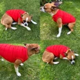 thumbnail image 4 of Ropa Suéter Afelpado Perro/gato Chico, 4 of 8