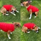 thumbnail image 4 of Ropa Suéter Afelpado Perro/gato Chico, 4 of 8