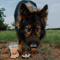 thumbnail image 5 of Boss Dog & Cat Proballs Pill Pocket Freeze Dried Probiotic Pork 3oz, 5 of 5