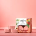 thumbnail image 3 of Yankee Candle Scented Tea Light Candles, White Strawberry, 0.44 OZ, 12 Count, Pack of 2 (24 Candles Total), 3 of 5