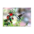 thumbnail image 2 of Gango Home Decor Hummingbird by Douglas Taylor (Printed on Paper); One 36x24in Fine Art Paper Giclee Print, 2 of 4