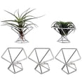 thumbnail image 1 of Pack 5 Air Plant Holder Air Plants Holders Display, Silver, 1 of 5
