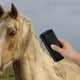thumbnail image 3 of Pedro Del para Deshedding Tool Pet Cepillo Cats & Horses, 3 of 9