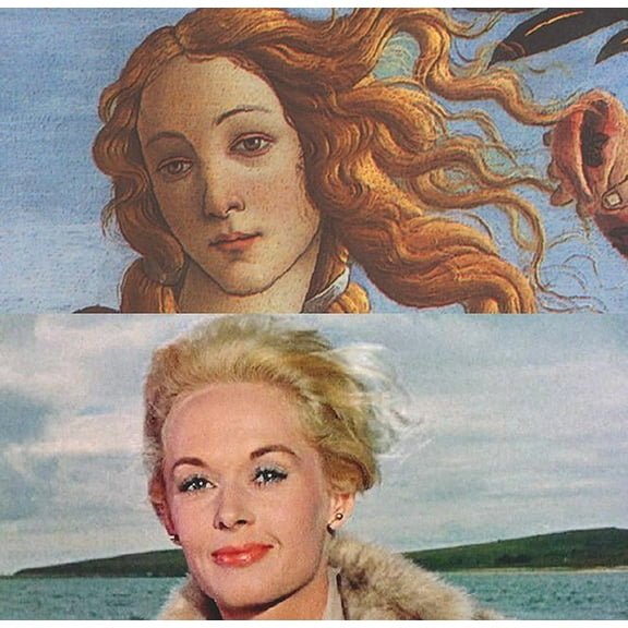 The Second View : Hitchcock: The Birds, Edwards: The Party, Scott: Blade Runner and Gladiator, Ruzowitzky: Anatomy (Hardcover)