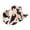 Brown, variant on Cow Hat Women's Cowboy Hat Cow Print Western Trendy Bull Hatband Party Cowgirl Hats Vacation 2026