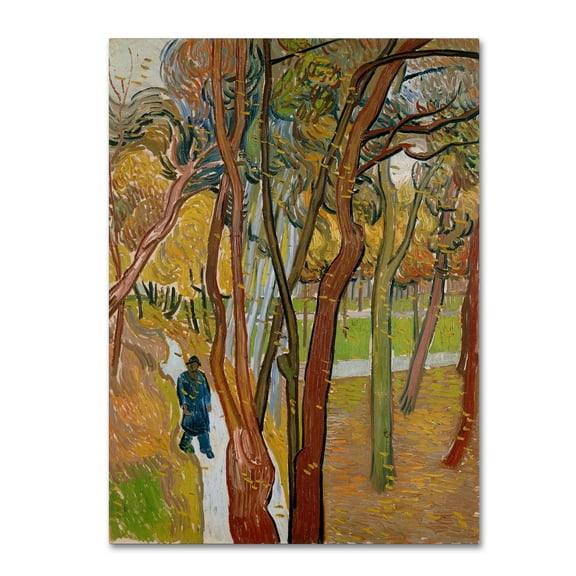 Van Gogh 'The Garden Of Saint Pauls Hospital' Canvas Art