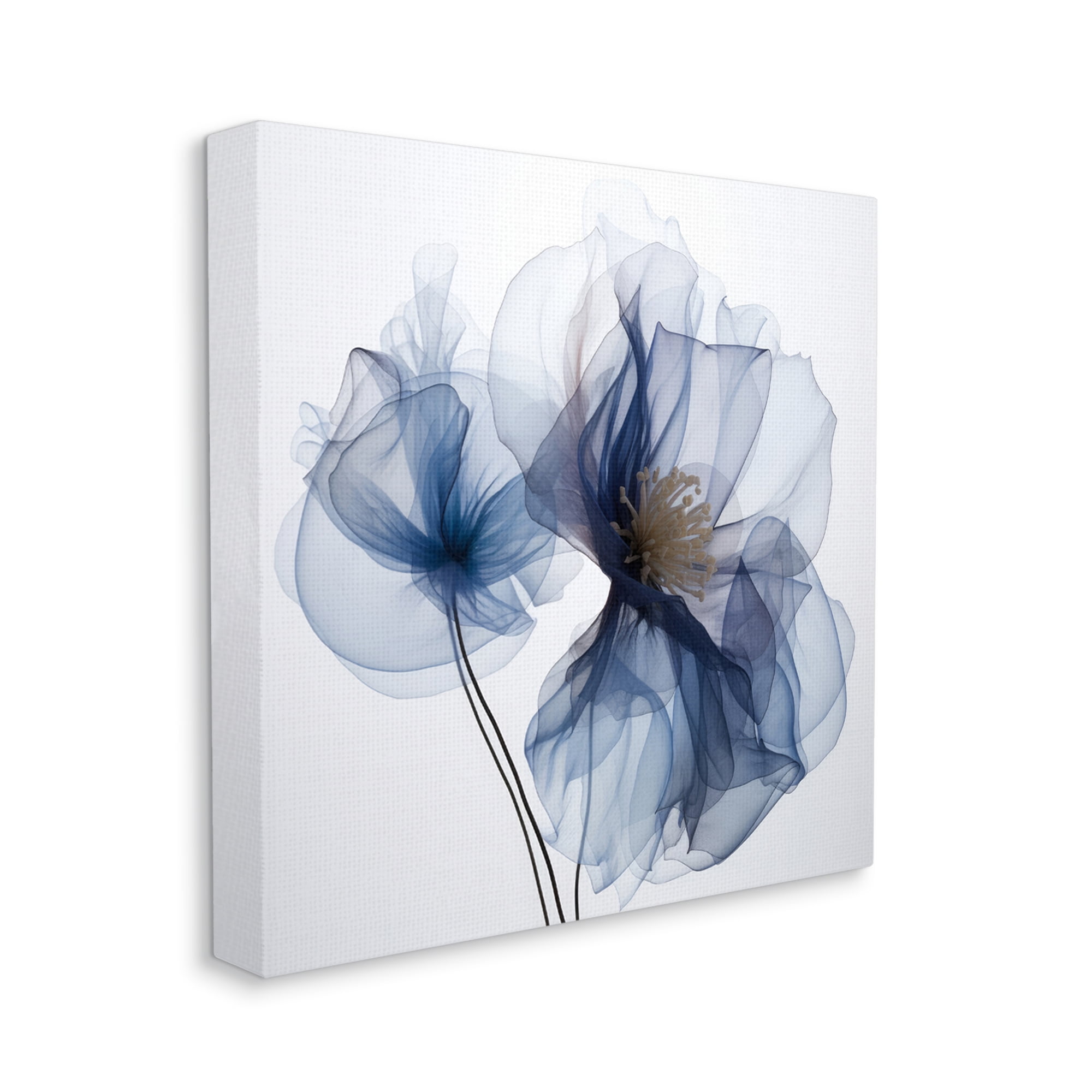 Stupell Industries Blue X-Ray Flowers Botanical & Floral Photography Gallery Wrapped Canvas Art Print Wall Art, 24 x 24