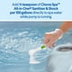 thumbnail image 4 of Clorox® Pool&Spa™ Spa Water All-in-One Sanitizer & Shock, Destroys Contaminants, Clears Cloudy Water, 2LB (Pack of 1), 4 of 4