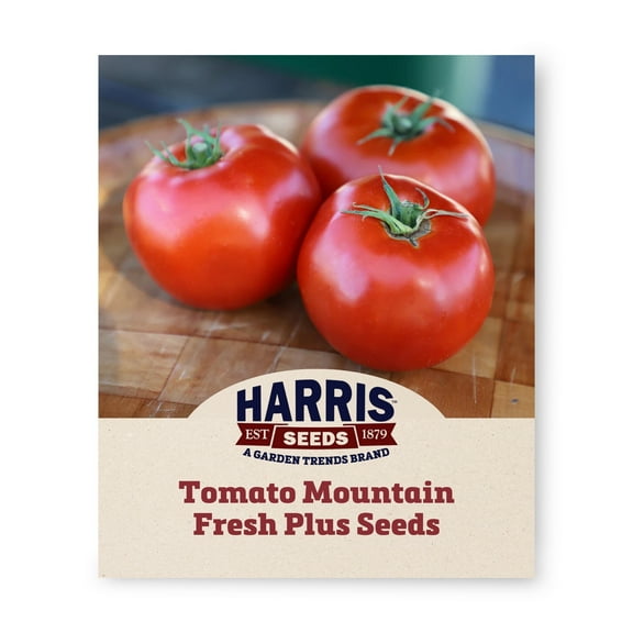 Harris Seeds Tomato Mountain Fresh Plus F1, 500 Count