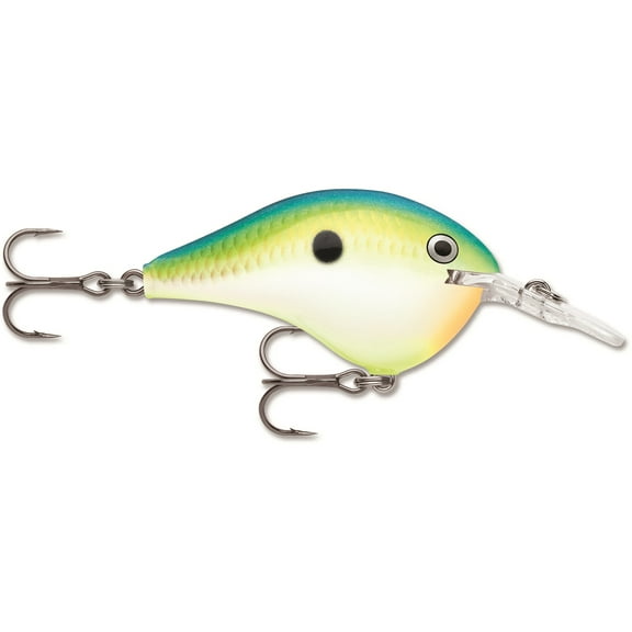 Rapala DT 6 Crankbait Citrus Shad