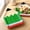 Green, variant on 10 Pcs Pencil Shaped Paper Plates – 9 Inch Disposable Plates for Back to Classroom, First Day of Classroom, Teacher Appreciation, Birthday, Graduation Classroom Party Supplies