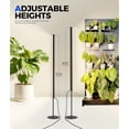 thumbnail image 4 of Barrina T1S Standing Grow Light for Indoor Plants with Timer 65W 660nm High PPFD Tera Series Vertical Full Spectrum Grow Lights Adjustable Height 5FT-5.6FT Foot Switch Non-Glare Design Black, 4 of 10