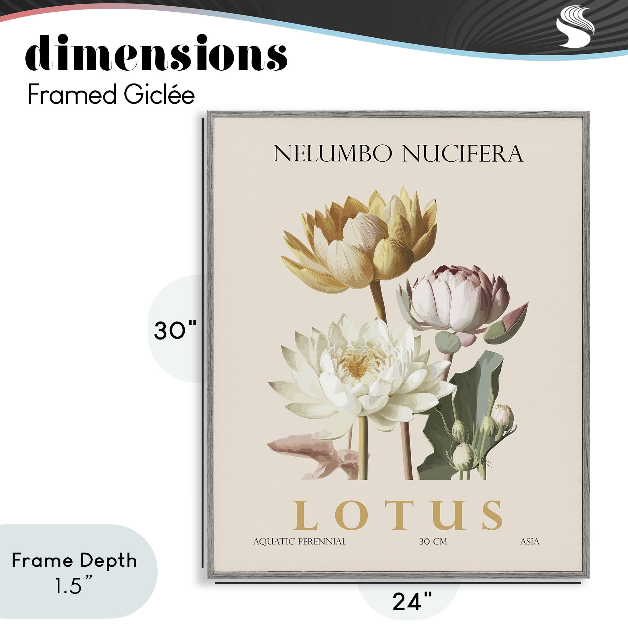 Stupell Industries Natural Lotus Bundle Gray Framed Giclee Art, design by Christopher Giampietro