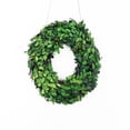 thumbnail image 1 of Modern Home 12" Real Preserved Boxwood Monogram Wreath Letters - O, 1 of 2
