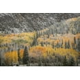 thumbnail image 2 of Grall, Don 32x23 Black Ornate Wood Framed with Double Matting Museum Art Print Titled - Colorado, San Juan Mountains Autumn snowfall, 2 of 4