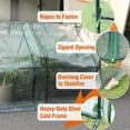 thumbnail image 2 of Gardzen Mini Greenhouse with Garden Netting Cover, Mesh Plant Protector for Plants 71.7”(L) x36.2”(W) x42.5”(H), 2 of 6