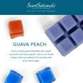 thumbnail image 2 of Scentsationals Wax Melts, Wax Cubes Strong Scent - Guava Peach - Long Lasting Scented Wax Melts for Warmer, 10oz (24-Cubes), 2 of 7