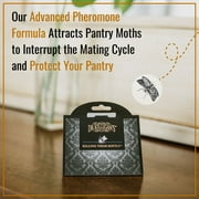 Dr. Killigans Premium Pantry Moth Traps with Pheromones Organic, 6, Black