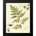 thumbnail image 2 of Audit, Lisa 12x14 Black Modern Framed Museum Art Print Titled - Ivies and Ferns I, 2 of 5