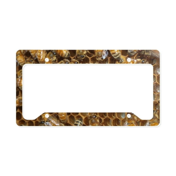 CafePress - Honey Bees License Plate Holder - Aluminum License Plate Frame, License Tag Holder