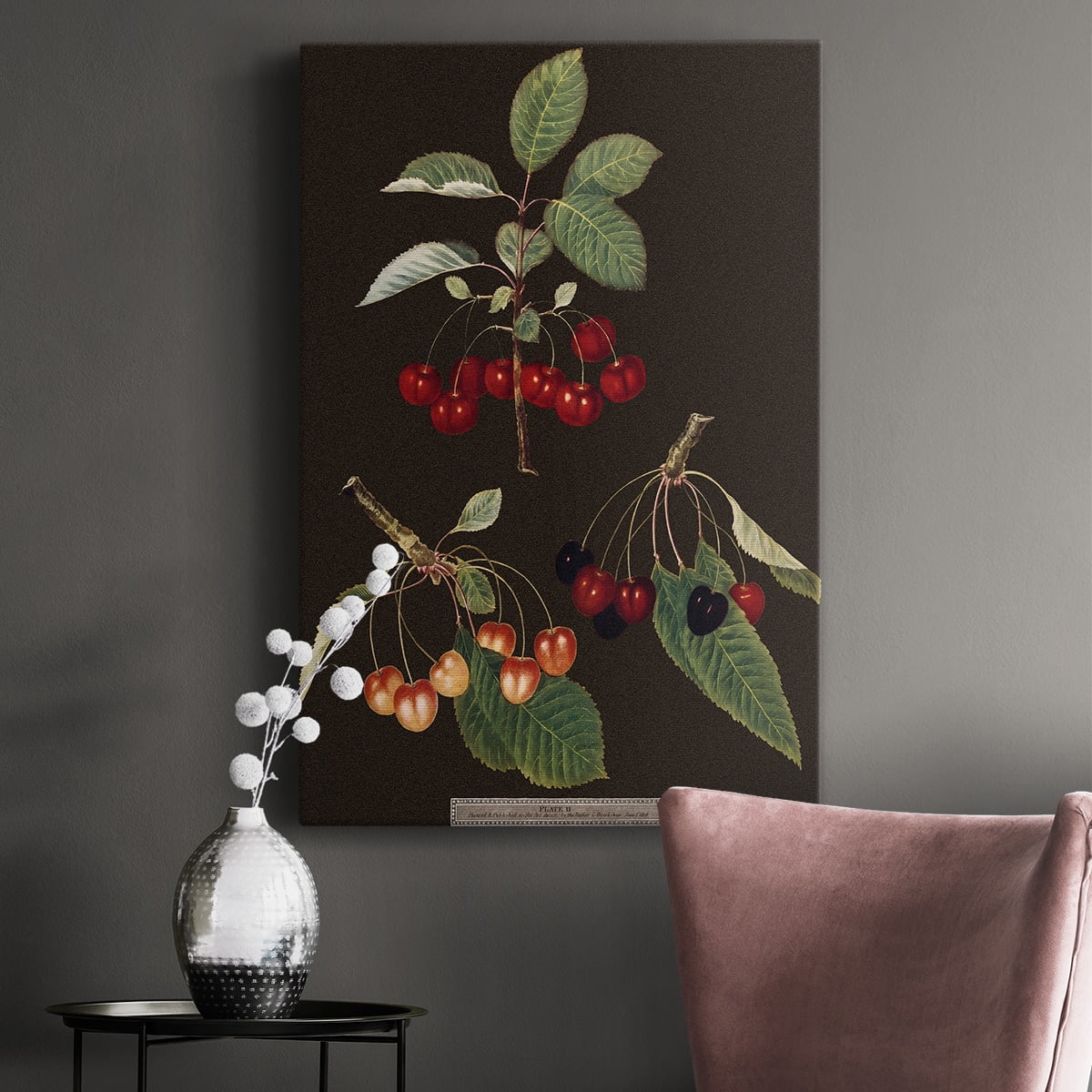 Brookshaw Cherries Premium Gallery Wrapped Canvas - Ready to Hang