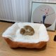 thumbnail image 3 of Cama para perros mediana y relajante, sofá cama para perros y gatos medianos, alfombrillas de felpa mullidas para perros, protector de muebles con funda lavable, 3 of 6