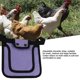 thumbnail image 5 of 4 piezas Gallo gallina silla espalda pluma protección fijador pollo chaleco, 5 of 5