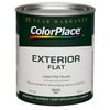 Color Place White Flat Exterior Paint Qt