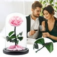 thumbnail image 2 of Ongmies Preserved Roses Gift for Her – Colorful Light-Up Rose in Glass Dome, Unique Mother's Day & Birthday Gift for Women, Perfect Love Gift for Mom, 2 of 9