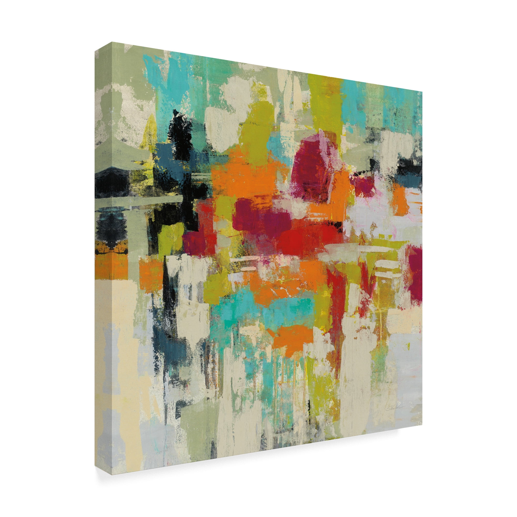 Trademark Fine Art 'Summer Silk Road' Canvas Art by Silvia Vassileva