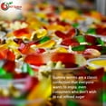 thumbnail image 7 of NY SPICE SHOP Sugar Free Gummy Worms Candy - 1 Pound - Colorful Sugar Free Gummy Worms, 7 of 7