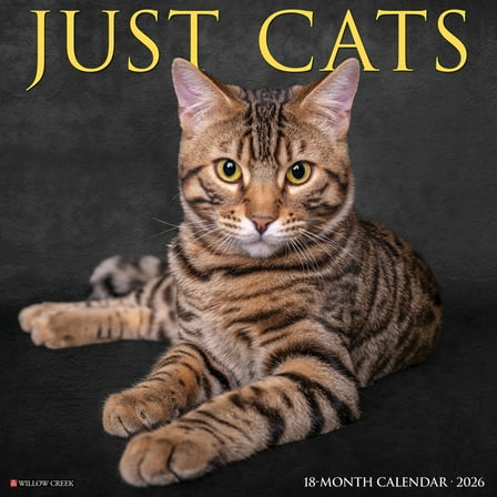 Cats 2026 Wall Calendar, (Paperback)