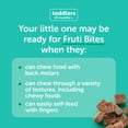 thumbnail image 6 of Beech-Nut Fruti Bites Toddler Snack with Hidden Veggies, Fruit Snack Variety Pack, 12 Pack, 6 of 11