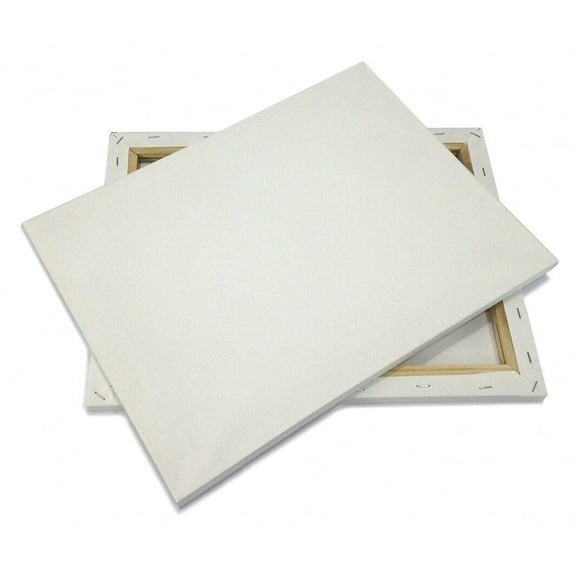 2 Pack 8x10 Canvases For Painting BLANK Pre-Stretched Framed Cotton Double Gesso