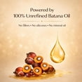 thumbnail image 5 of Botanic by Jamila Batana Hair Butter – Nourishing Growth & Repair Cream - 2 oz, 5 of 8