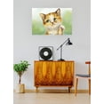 thumbnail image 2 of Whatever Cat Poster - Kayomi Harai Designs,, 2 of 3