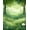 Green, Pattern 2, variant on ODIKA 6'x9' Machine Washable Non-Slip Area Rug, Whimsical Garden Patch Dreamy Meadow Moss High Traffic Rug, Green, 92998
