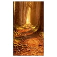 thumbnail image 2 of Magic Morning at the Fall Park - Landscape Photography Canvas Print, 2 of 3