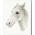 thumbnail image 3 of Great Art Now Ivory Stallion by Annie Warren 2 Piece Canvas Art Set Each 12W x 15H, 3 of 3